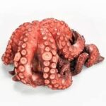 PULPO DE MARRUECOS (entero)