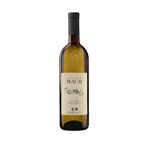 PINOT GRIGIO 2022 «EDMUND MACH»